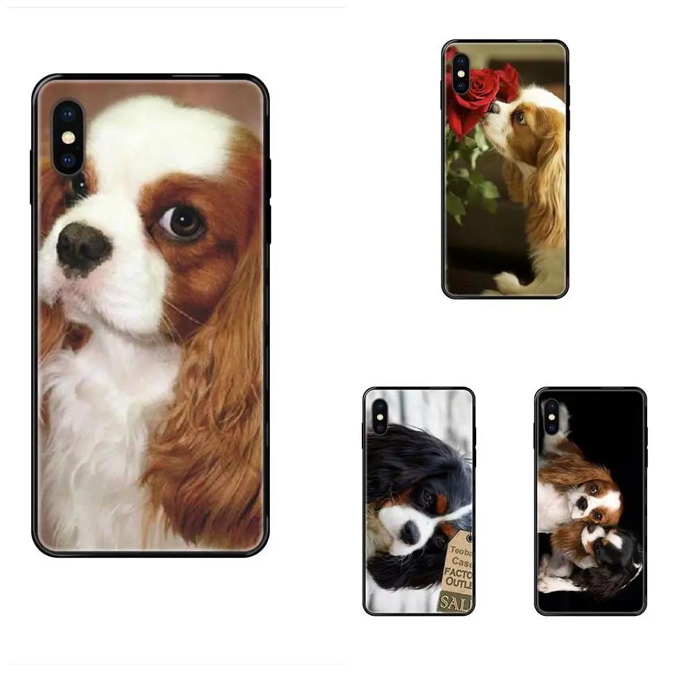 Милый телефон TPU Quinn с кавалером Кинг Шарлем спаниель собака для Galaxy S5 S6 S7 S8 S9 S10 S10e