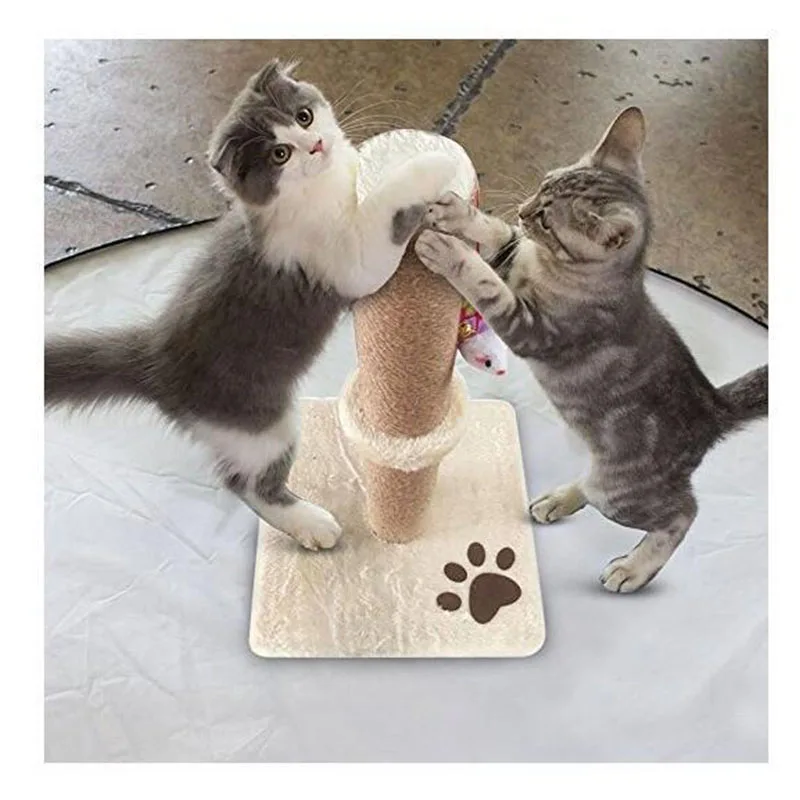 

Pet Cat Scratcher Toy Cat Climbing Frame Foldable Cat Scratching Post Tool Cat Tree Pet Cat Dog Fitness Furniture Toy 