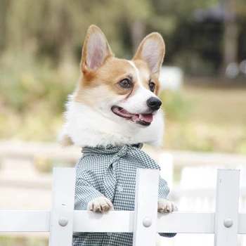 

Pet Idyllic lattice Dress and Shirt Home SuppliesPet Supplies Dog Breeding Supplies Dog Shirts