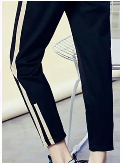 HTB1cZ4Dd8aE3KVjSZLeq6xsSFXaG