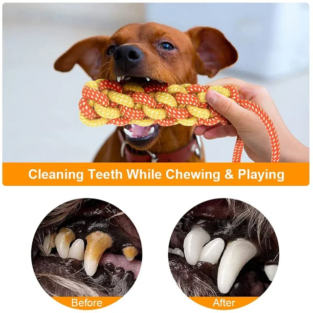 Dog Toy Interactive Chewing Rope Ball Toys Set Natural Cotton Washable Durable Tug of War for Small Medium Dogs Pet Supplies 3
