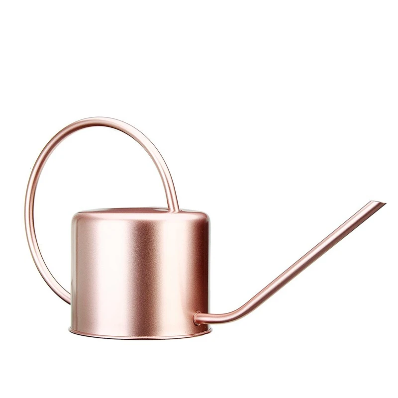 

1300Ml Watering Can Metal Garden Stainless Steel for Home Flower Water Bottle Easy Use Handle for Watering Plant Long Mouth Gard