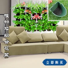 马蹄盆