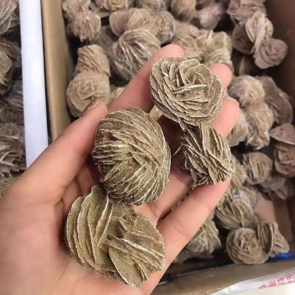 자연 아름다운 석영 사막 장미 크리스탈 미네랄 셀레나이트 원시 돌 표본 Reiki 치유를위한 거친 보석 Adenium Obesum