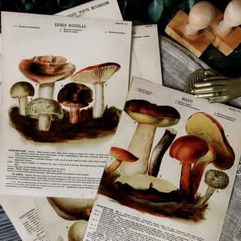 

12Pcs/Set A5 Vintage Mushroom Illustration Sticker DIY Craft Scrapbooking Album Junk Journal Happy Planner Decorative Stickers