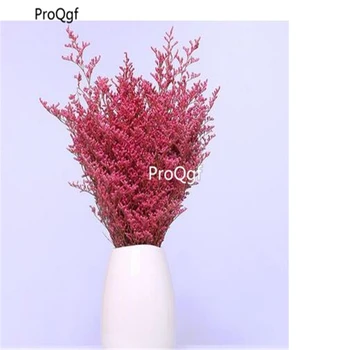 

Ngryise 3000pcs Codariocalyx motorius
