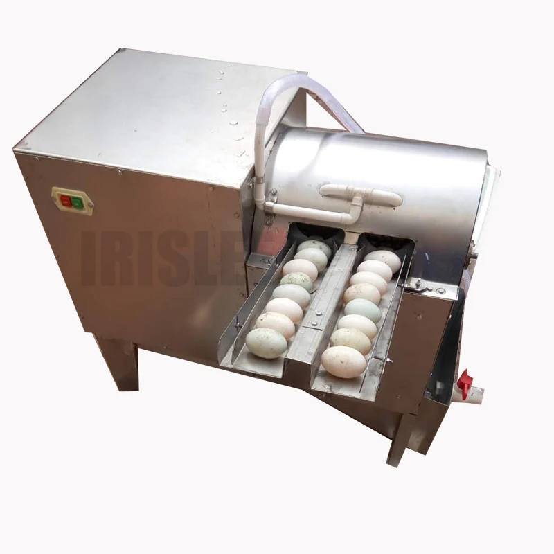 Machine à laver les œufs électrique à Double rangée, machine à laver les  œufs de poulet, canard d'oie, nettoyeur d'œufs, équipement d'élevage de  volaille - AliExpress