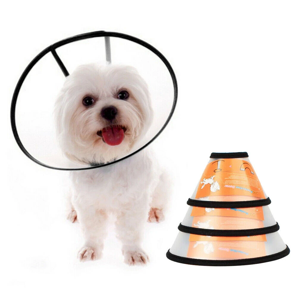 Plastic elizabethan collar Clearance