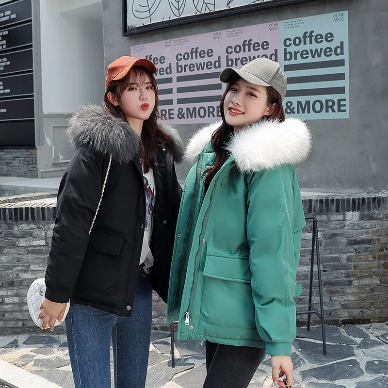 

Photo Shoot 2019 Autumn And Winter New Style down Jacket Cotton-padded Clothes Women's Fashion Best Friend-Cotton-padded Clothes