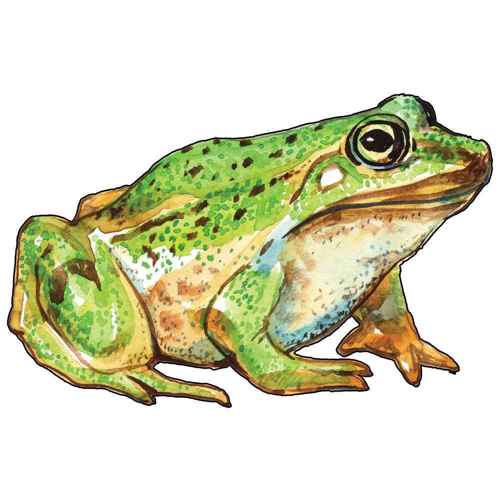 Рисунок 2 - Рождественская серия