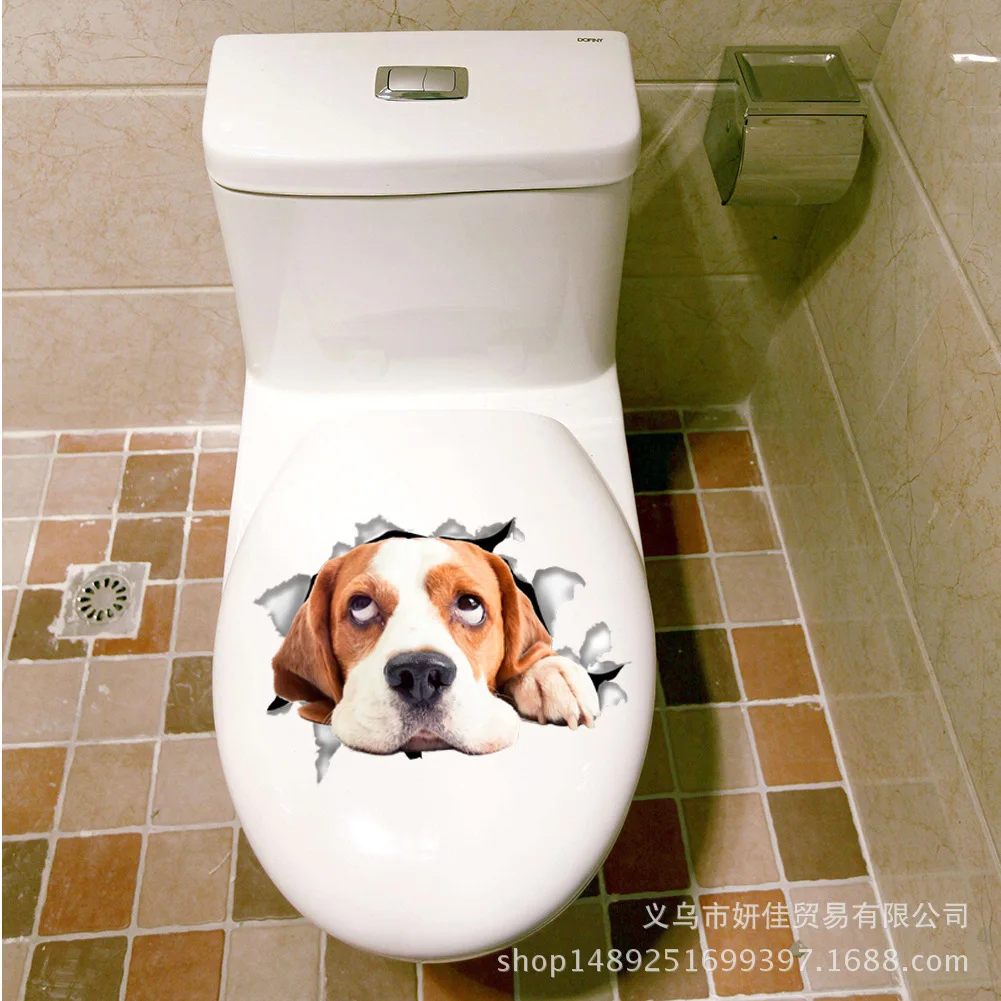 4071806009_896155306