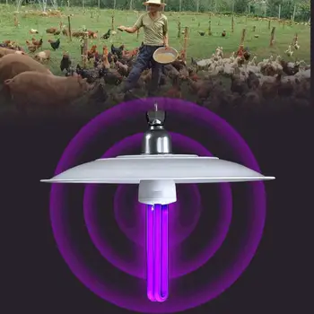 

Insects Moth Luring Attracting Lamp Bulb With Plug Wire Agriculture 40W 12V