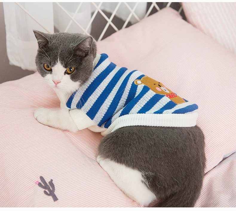 Одежда для кошек, осеннее платье, одежда с котенком, котятами, маленьким молочным котом, ничего, мех, кошка, предотвращение осени, шерсть, свитер, зимняя одежда