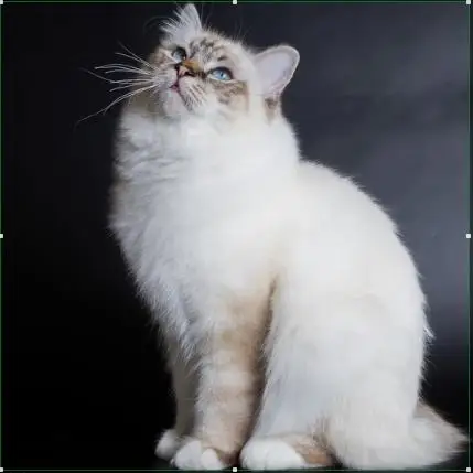 360截图20191226210001541