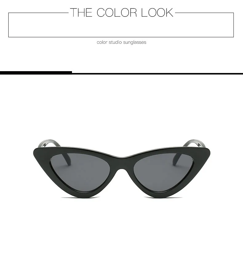 8824018592_334259297