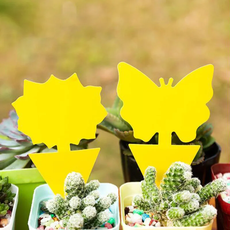 5/10Pcs Forte Appiccicoso Trappole Controllo Naturale Dei Parassiti Trappola Mosca Della Frutta Giallo Fungo Zanzara Trappole Insetti Catcher Per Inte