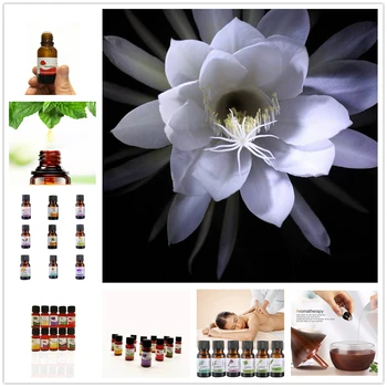 

1Pcs Organic Essential Pansy Oil Contain CBD Ingredient Herbal Sterilization Body Relieve Stress Oil Skin Care Help Sleep