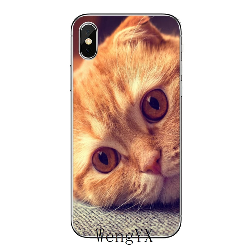 Шотландский Сложите cat для huawei Honor 10 9 Lite 8C 8X 7C 7X 7A V10 V8 Y9 Y7 Y6 премьер-профессионал чехол - Цвет: fold-cat-A-10