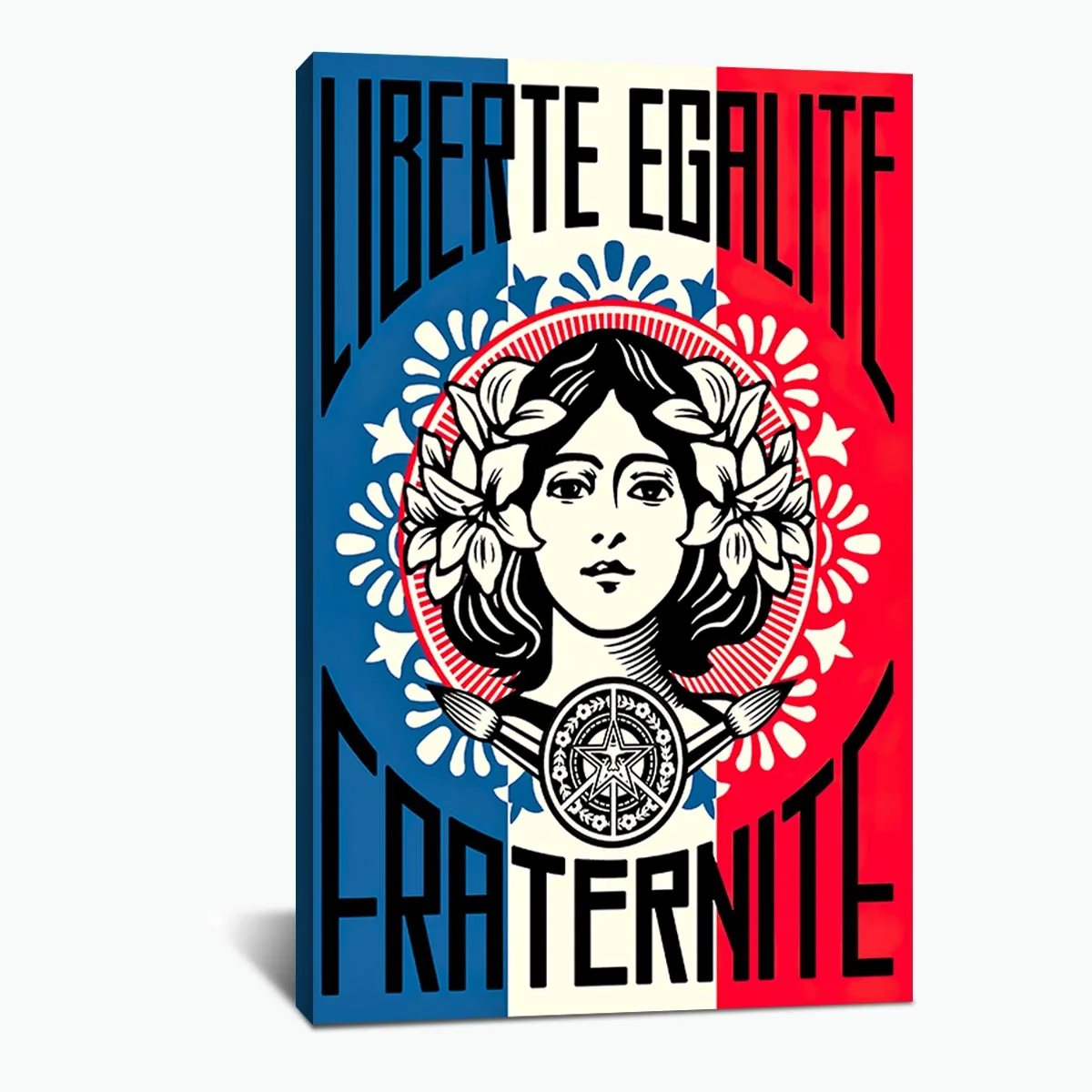Liberte Egalite Fraternite Определение изображение домашний декор Скандинавская Картина на