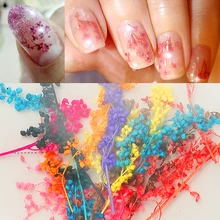 Красивые 7 шт./пакет сушенный цветочный 7 видов цветов Василек довольно сохранить букет 3D DIY Маникюр нейл-арта украшения HA224