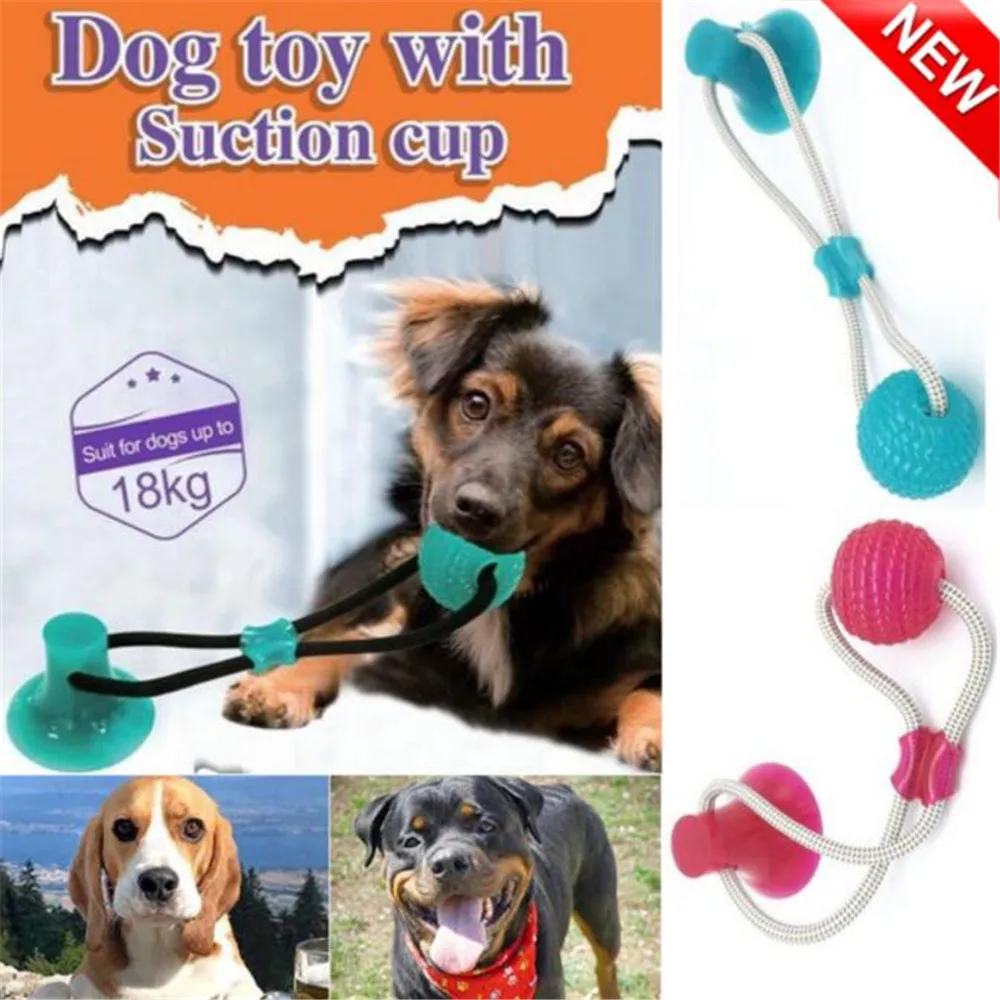 self play dog toys