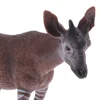 Realistic Okapi Wildlife Animal Figurine Model Action Figure Kids Toy Gift 6