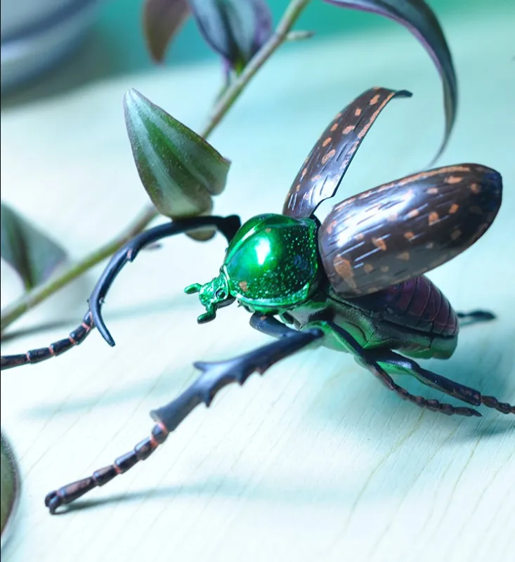 4D стерео сборка игрушечное яйцо динозавра биологическая модель насекомого стрекозы Кузнечик Mantis ОСА ПВХ фигурки