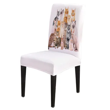 

Spandex Chair Cover Cat Cute Animal Wellbeing Chair Cover Home Decor Hotel Wedding Supplies Dining Chair Cover Stretch