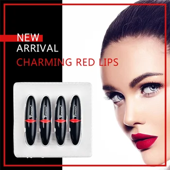 

Matte Lipstick Set 4 Colors/Lot Waterproof Velvet Lip Tint Lips Makeup Pigment Moisture Long Lasting Black Lipstick Tube Batom