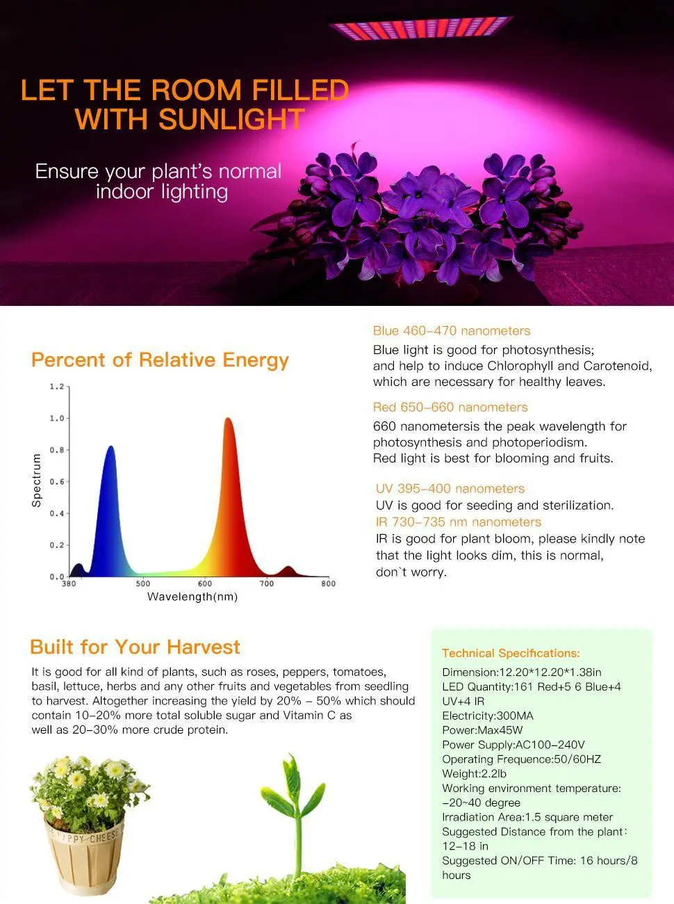 8583905222_692594204