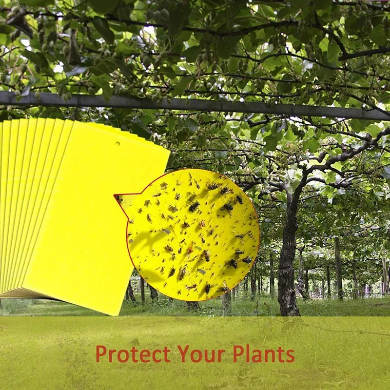 

20 Pcs Dual-Sided Yellow PVC Sticky Traps Flying Plant Insect Trap for Fungus Whiteflies XH8Z