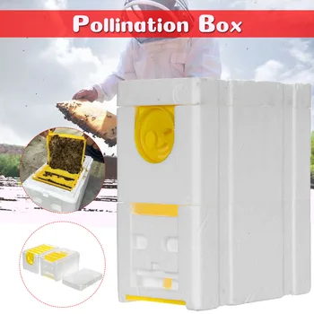 

2 layer Plastic Foam Material Bee Hive Beekeeping Pollination Tool Rearing Beehive Honeycomb Bee Nest for beekeeper