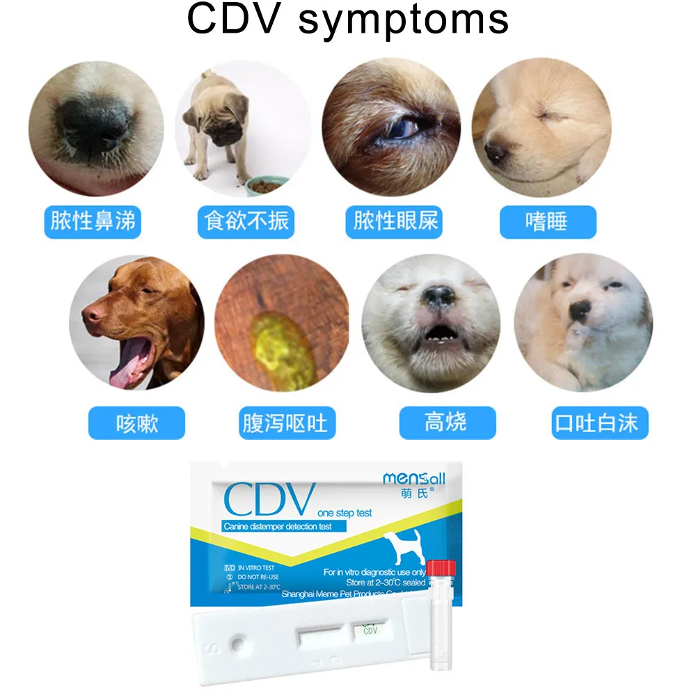 Useful Hot Dog Distemper Virus CDVCPV Home Nasal Swab Health Test Paper One Step Test (5)
