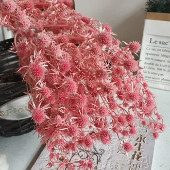 

Natural Dry Bouquet Dried Flower Valentine Fruit Plants DIY Home Wedding Party Decoration Materials