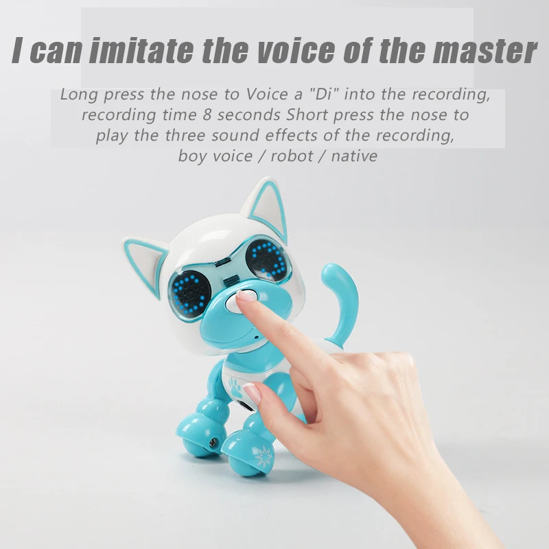 Electronic Toys