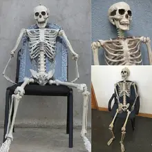 Хэллоуин человеческая модель Череп всего тела скелетная фигура с подвижное соединение реквизит для дома с привидениями для Декор для Хэллоуина, вечеринки LS* D