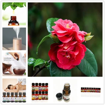 

10ml Essential Oils Cymbidium Aromatherapy Therapeutic Grade Oils for Body Massage Relax 12 Flavors Freshening Essential Oil