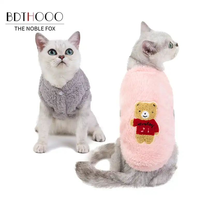 t shirts for cats to wear