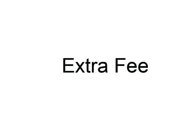 

Extra cost /balance /shipping cost/ Sample cost / Printing fee / Other fee