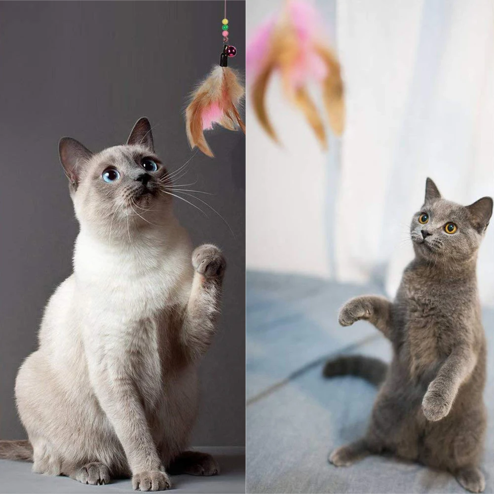 20 шт домашние кошки, Дразнилка для котенка, колокольчик, мячик, мышь, перо, игрушка для игры, жевательная игрушка