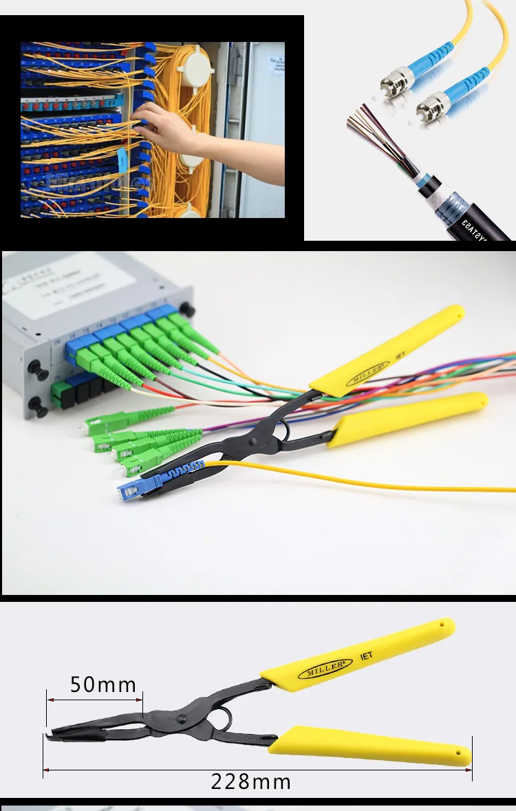 3183615786_1319666606