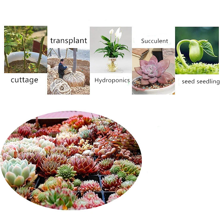 O1CN011jUOwyVPq4fHhEU_!!2387494551