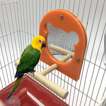 

Parrot supplies Bird toys Stand training stand Chew toys Stand board Bird stand