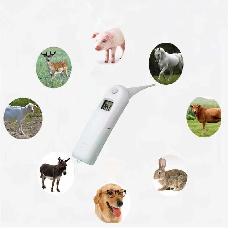 Ветеринарный цифровой термометр Собака Щенок свинья лошадь для кроликов и кошек котята температура