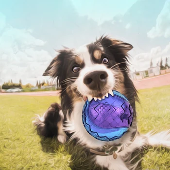 Squeaky Rubber Dog Ball Toy 3