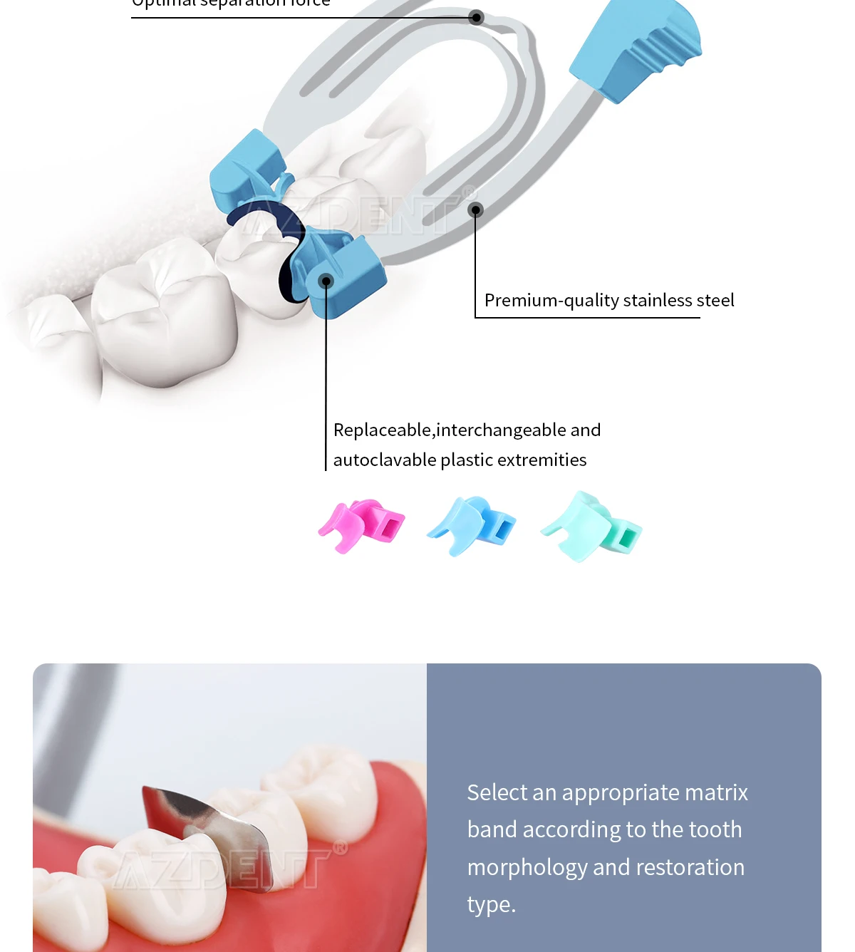 AZDENT Dental Matrix Schnittkonturierte Matrizen Klemmen Keile Metallfeder Clip Ringe Zahnarzt Werkzeuge Dental Labor Instrument – Detail 7