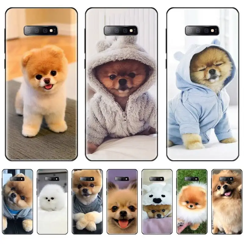 

pomeranian dogs Phone Case For Samsung Galaxy S5 S6 S7 S8 S9 S10 S10e S20 edge plus lite