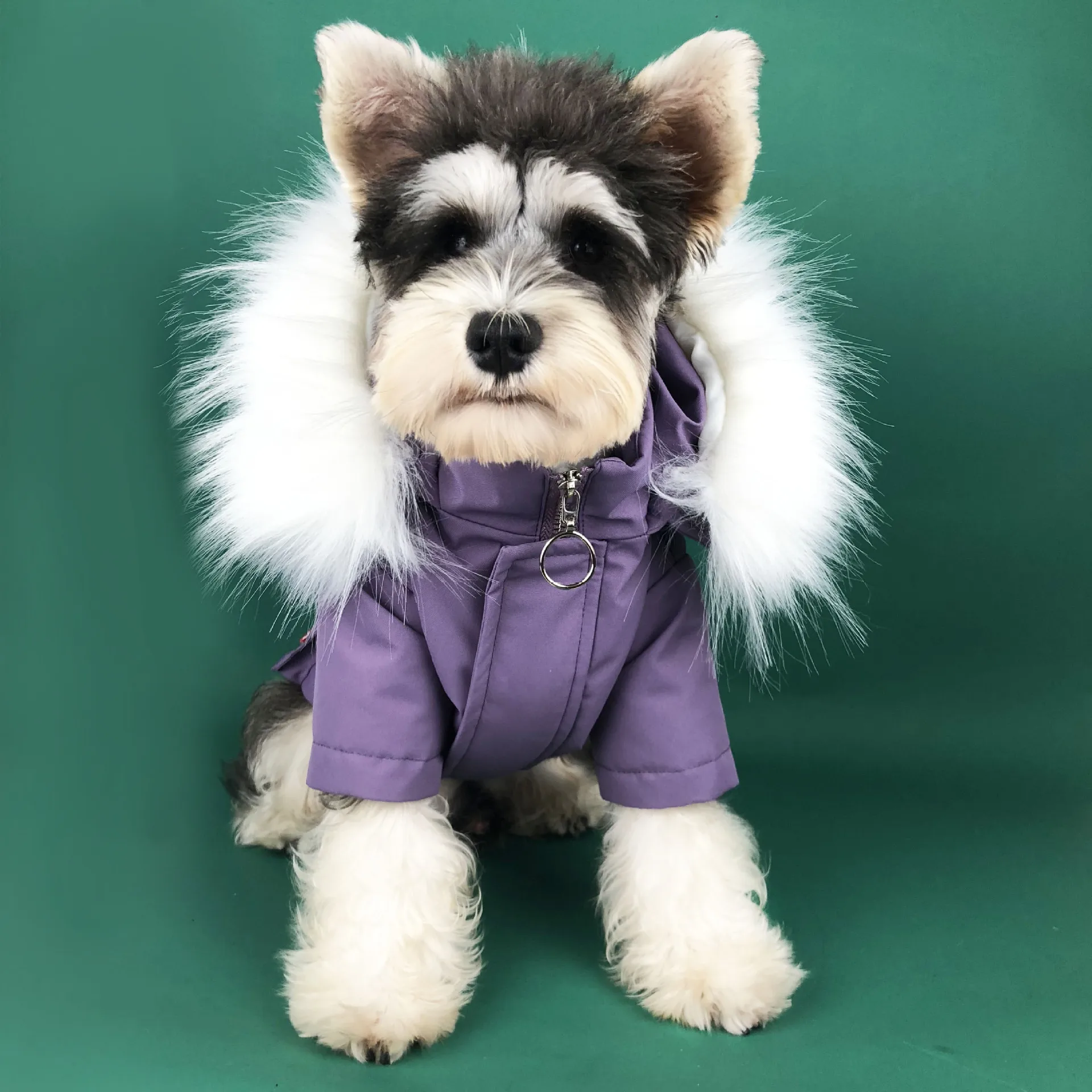 

Super Quality Dog Down Jacket Luxury Pet Dog Winter Clothes Fur Collar Real Goose Down Coat Puppy Small Dogs Outfit Clothing
