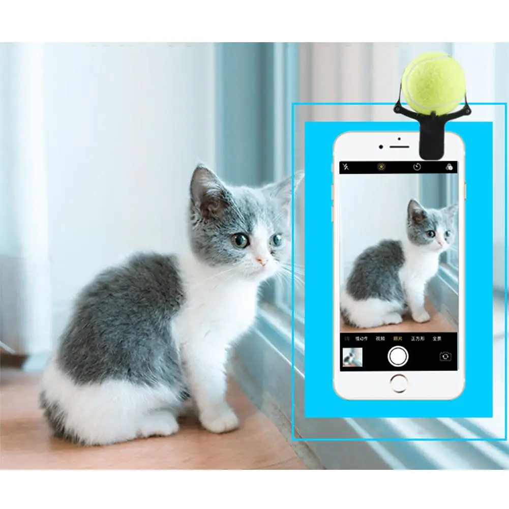 TPFOCUS Pet фотографирование артефакт ПЭТ селфи игрушки для домашних животных палка для селфи собака пластик телефон объектива камеры Клип Мини обтекание