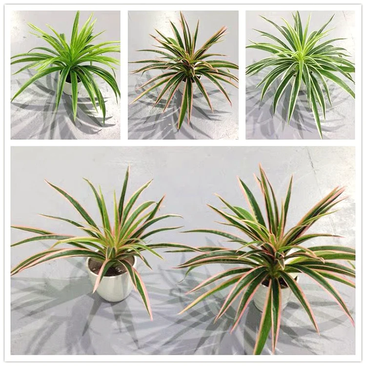 1 шт Искусственный искусственная Орхидея пластиковые зеленые листья flores Цветы DIY